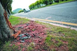 ��Ը����û�г�����������