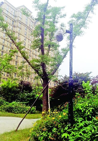 һҹ5�������Ҳ���ȴû�����ǿ����̱�С��������λ