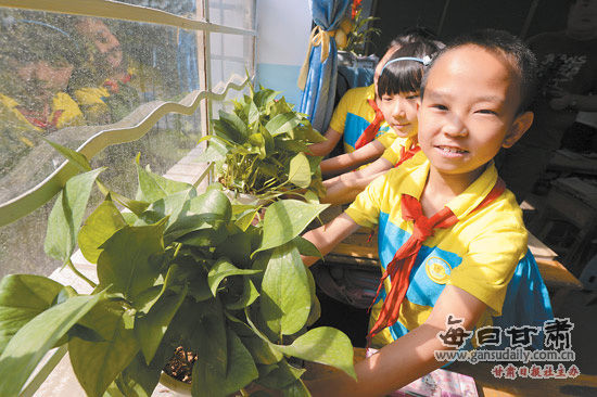 ���ݳǹ�������֡��Ի�Ϊý�����������������ʻ�����