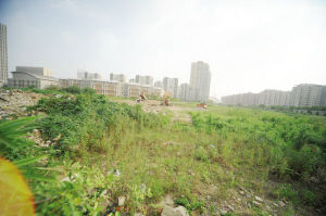 ������ʢ����԰¥�̸���������Ŀ��������ȱʧ������