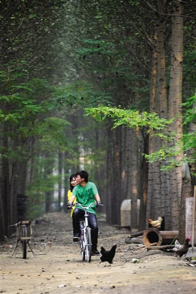 延庆300公里青山骑游画里(2)
