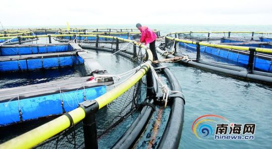 三沙市将促进海南渔业产业每年可增产值41亿元