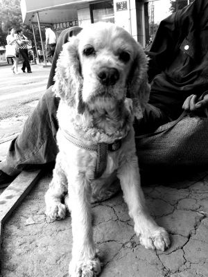 ���˺���ѩ��ɿ������������İ�·��Ե