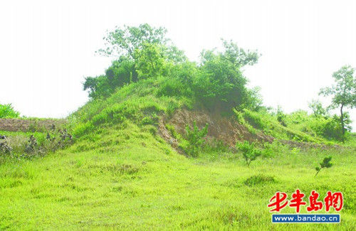 �����볤�ǽ�ԭò�����޸����̼�������