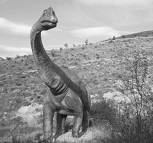 ������������Ѫ����