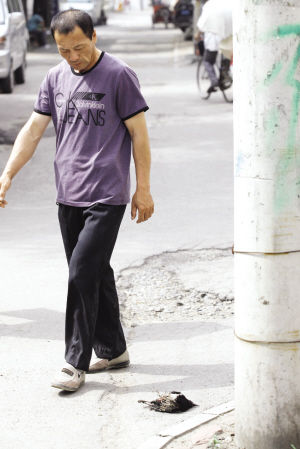 ϲȵ�����¶�·300�໧ͣ��