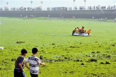 ��̲����ԭ��