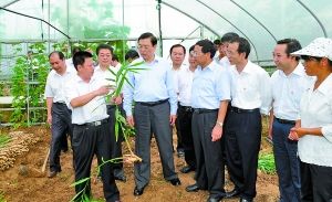 �ӿ칤ҵ�����̼ӿ���򻯽���BR/ͳ�����Э����չ