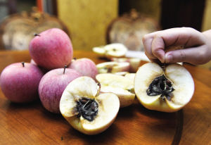 ��10�����ƻ����ɫ�䵭������