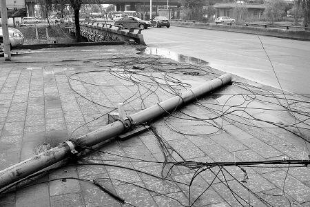 ������զû�˹�