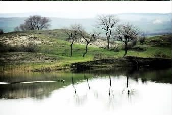 ������������Ŵ�