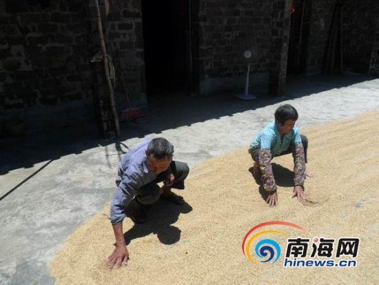 临高女孩:为省钱高中时从来不吃早餐