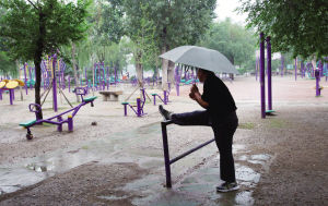 ��������԰�����ߴ�����