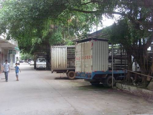 �ܲ��ü�ͷ�������߰��������壺˽���γɲ�ҵ��