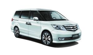 ���籾�ﰬ���������������ϵǳ�