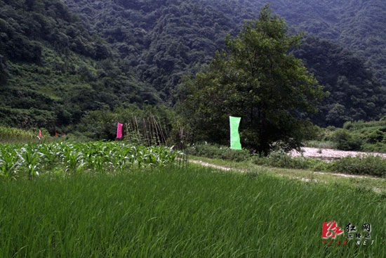 ������Ϫ�������ӿڵ�վ����Ԥ������6�½���