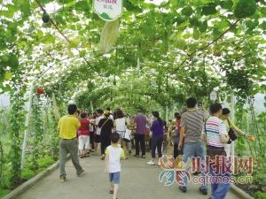 �߽���̬ũҵ԰�ذ���VIP�˿�������ɫ����