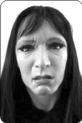 “人脸”机器人