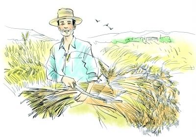 靠技术堆高粮垛