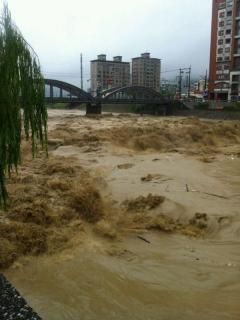 台风致台湾死伤人数增加农业损失逾2亿新台币