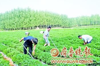 年轻干部进村与民同吃同住