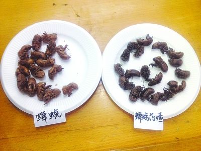 ����ʡ��ҽԺ������ҩʦ����ʶ�ơ���ױ����ҩ