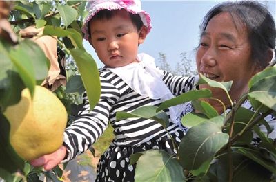 ���Ʋ�ժ���������ʳ�