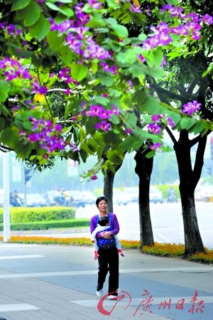 管理屡开先河