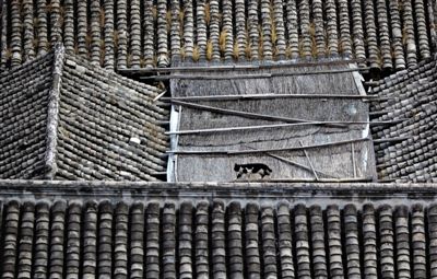 �Ŵ����������ζ��