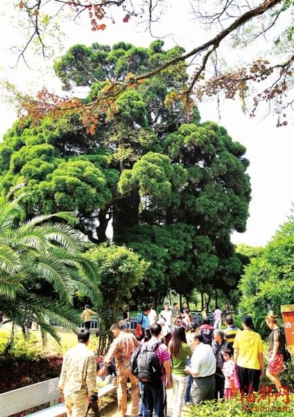 �ι������ô�߼���Ϊ��֧��