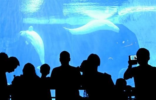 ���������ﻶ�ȼѽ�