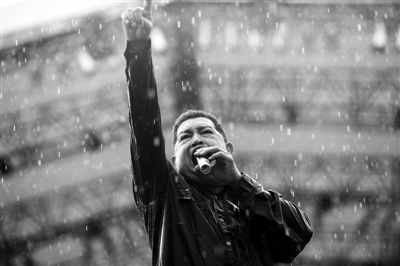 ί������������ѡ