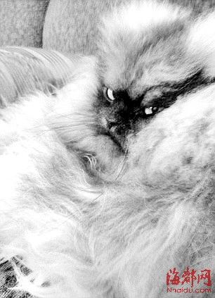 ����ŭè�䡱