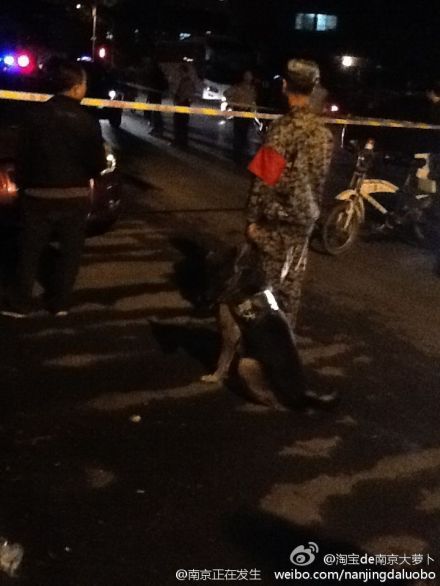 �Ͼ�����:Ů��ȡ����ϵ�����������Σ��