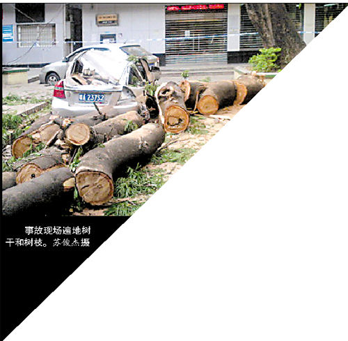 大树枝丫折落把76岁老人砸成骨折