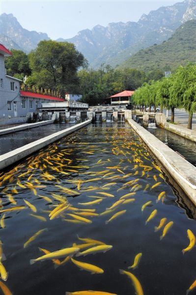 长城脚下打造国际“地球村”