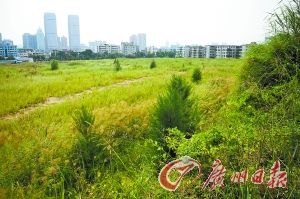 敢碰硬铁腕清理闲置土地