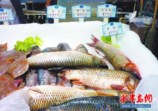 青岛人一天吃掉5万斤淡水鱼 草鱼最受欢迎