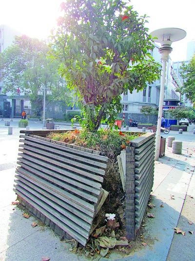 长江路公共设施损坏严重 多个木质花桶撑破肚
