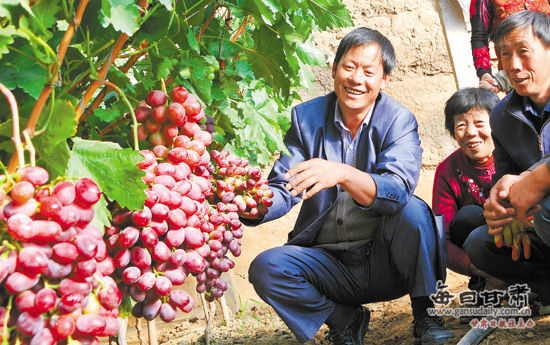 山丹县引导农民发展高效节水现代设施农业