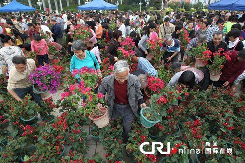 �㶫��������ɷ������ʻ�����������޹���