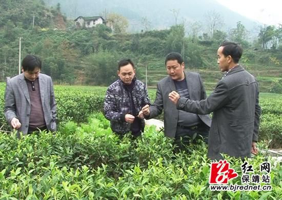 ������31��ũ���Ҷרҵ���������ƻƽ���ҵ�ķ�չ