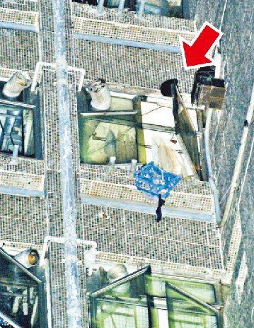 港女童被独留家中10分钟堕毙警方被指马虎搜证