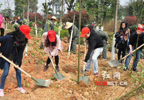 (3月12日,九道湾社区公园全民植树现场.