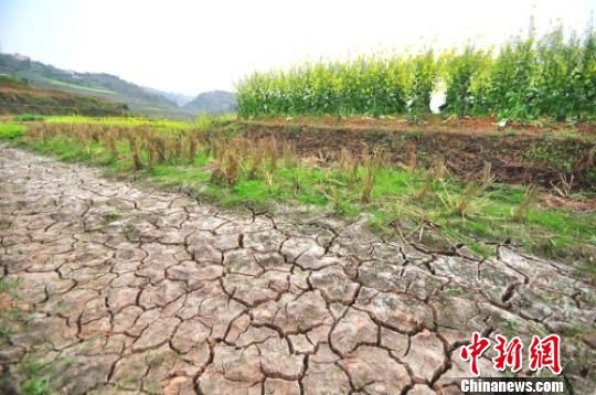 四川宜宾遭遇春旱8.64万人饮水困难