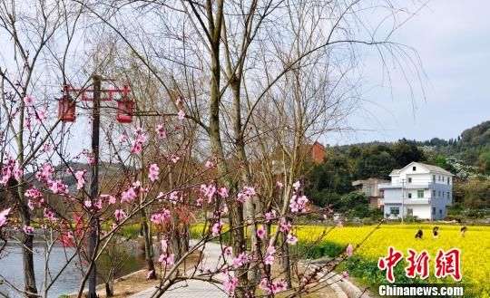 莆田坪人口_莆田坪盘旅游景区(2)