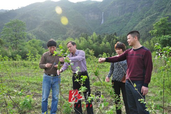 江永县委常委,宣传部长卢文庆在刘家庄调研建整扶贫