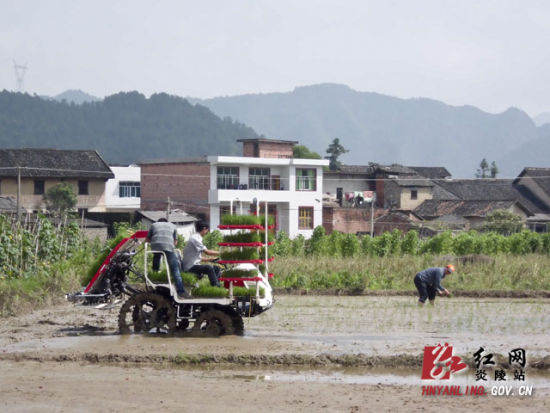 炎陵人口_炎陵县人口与计划生育工作专题会议召开 中国 株洲