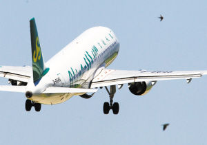 为了赶走小鸟儿,机场用上高科技