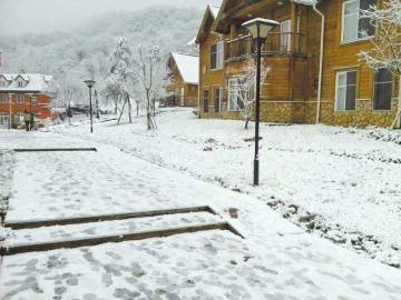 下雪啦 九寨西岭峨眉全线裹银装